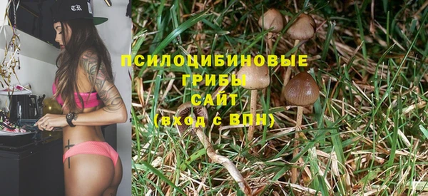 кокаин премиум Богданович